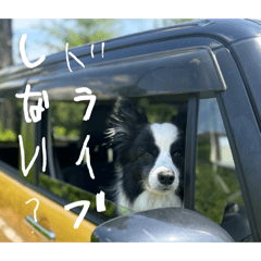 erichanman_20250401221634