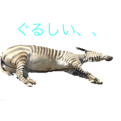 RIKU_20250401232053