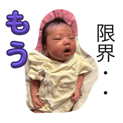 suzu_20250401232802