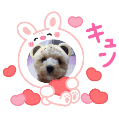 Love_20250402083322