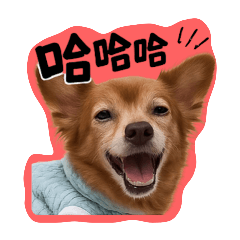 寶貝 巧克力