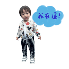 阿禾日常系列
