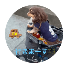 maikoro_20250401202950