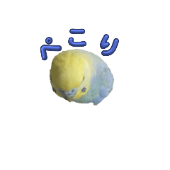 mikan_20250401213908