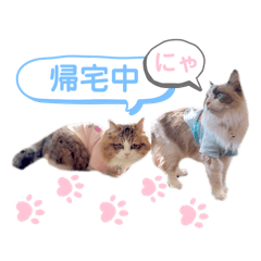 miyuki_20250401212741