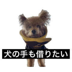 saya_20250401230553