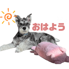 sato_20250402001913