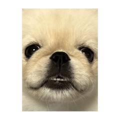h_20250402031231