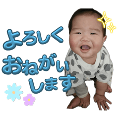 panda_20250402074939