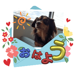 airi_20250402100646