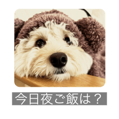 yumu_20250402104526