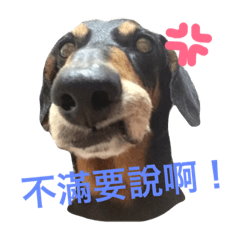 長長日常