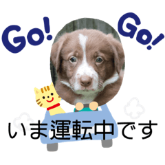 TOMO_20250402123922