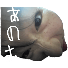 harako_20250402125212