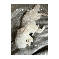 NANA_20250402125633