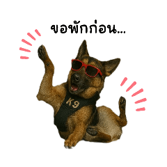 สุนัข K9 หมวกแดง