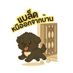 Fluffy Black Pup