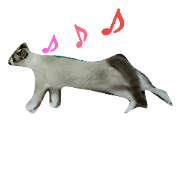 neko siratama 4
