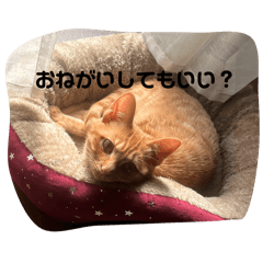 yamada_20250331185107