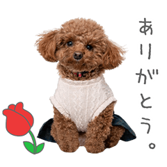 StampNo:5101