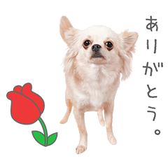 StampNo:5109