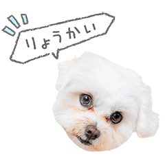 StampNo:5115