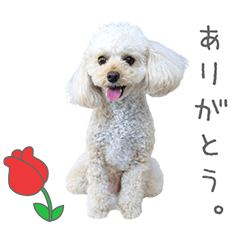 StampNo:5116