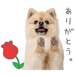 StampNo:5119