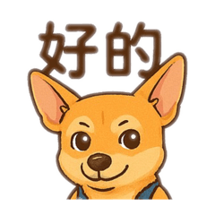 Lululu日常生活