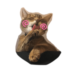 Mochi_20250331231038