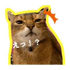 Mochi_20250401011539