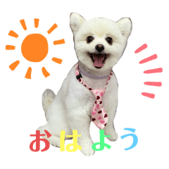 mochi_20250402141605