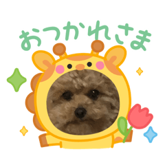 yuki_20250402153124