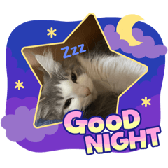 mikurun_20250402150741