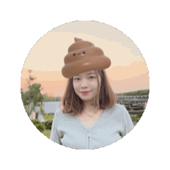 ㄚ亭進化史