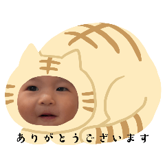 issindesu