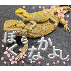chihaya_20250402185326