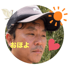 maple_20250402102005