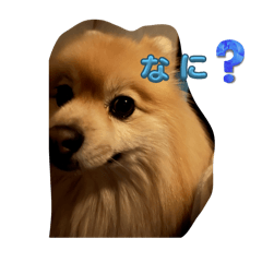 mori_20250402193543