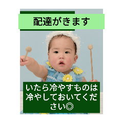 hachi_20250402172254