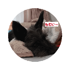 hiro_20250402171530