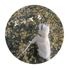 Natsu_20250402195818