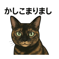 Miko_20250402175534