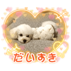 RYO_20250402204152