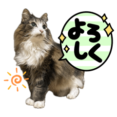 sato_20250402205739
