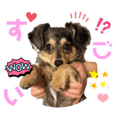 yuina_20250402214618