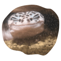 Unimesu