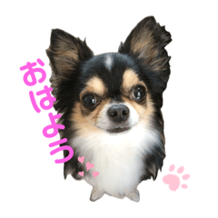 Chibi_20250402215928