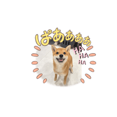 riko_20250402220713