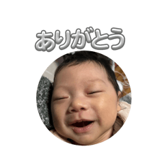 natsu_20250402220919